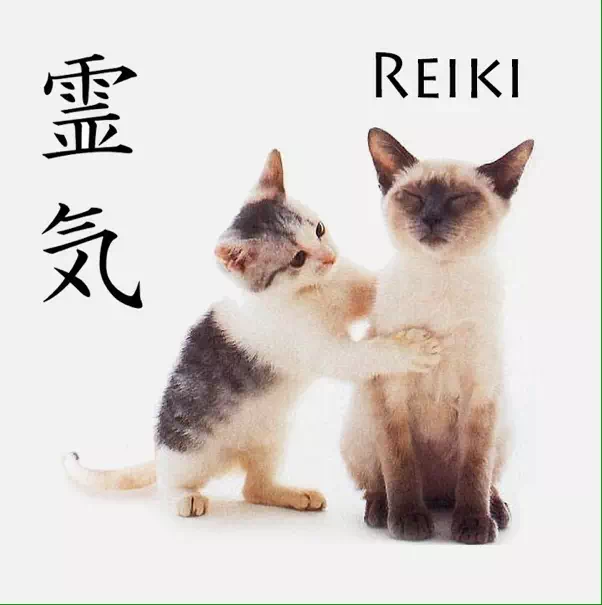 Reiki chat 1